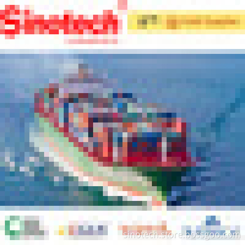 Professional international sea freight agent from china